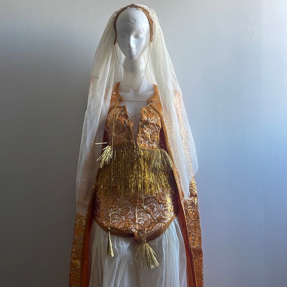Vintage Middle Eastern Halloween Costume Veil - Picture 1 of 10